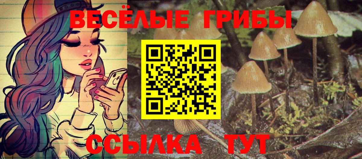 Галлюциногенные грибы GOLDEN TEACHER Горно-Алтайск