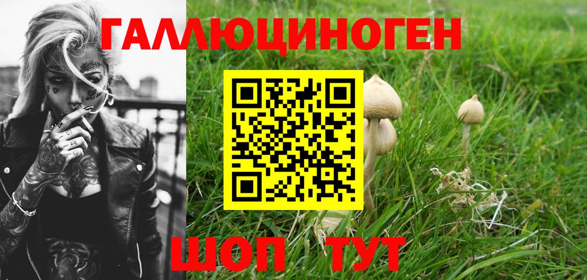 Горно-Алтайск  Галлюциногенные грибы мицелий  Псилоцибиновые грибы мицелий  Вход с VPN 